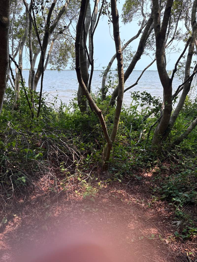 walking near me in Assateague State Park in summer