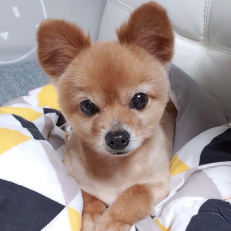 이창현(품질혁신팀)