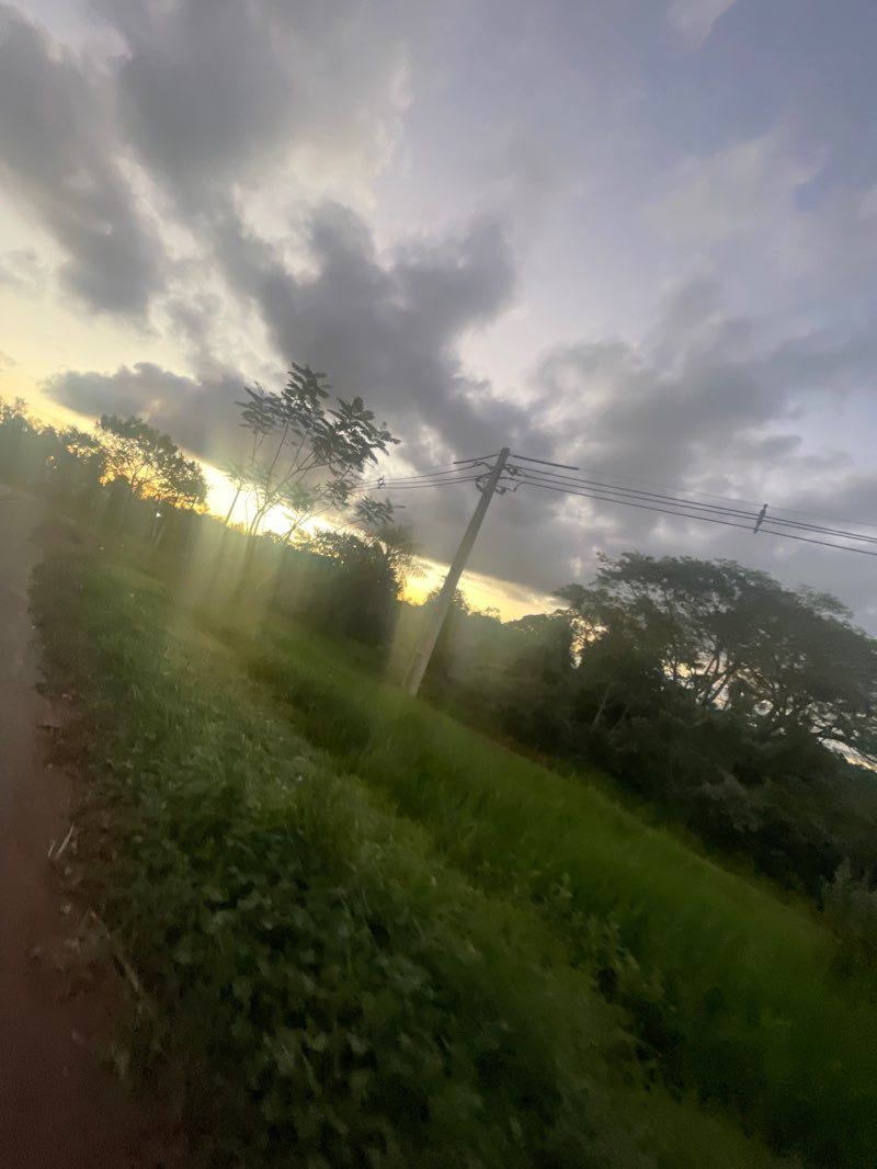 walking near me in Plaza de los Héroes in summer