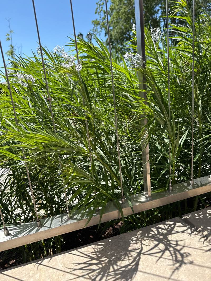 walking near me in Hudlin Park in spring
