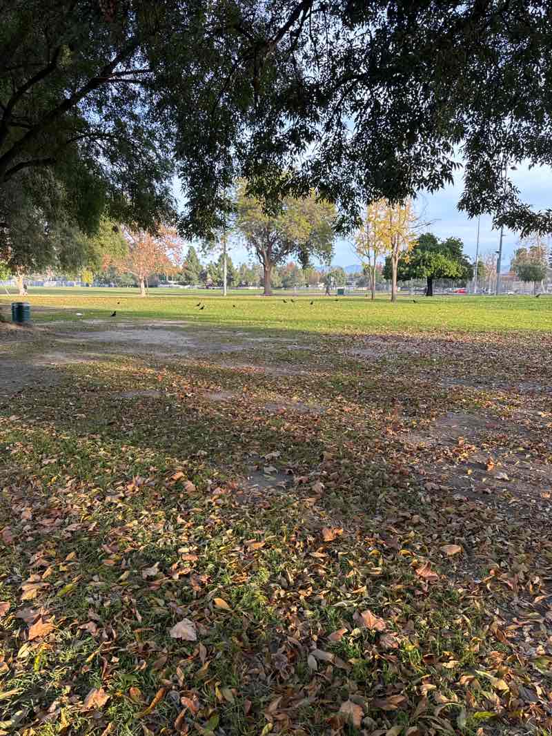 walking near me in Van Nuys-Sherman Oaks War Memorial Park in winter