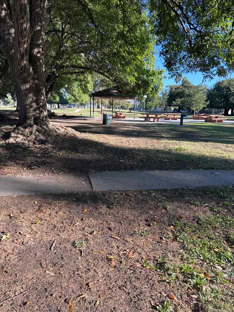 walking near me in Van Nuys-Sherman Oaks War Memorial Park in autumn