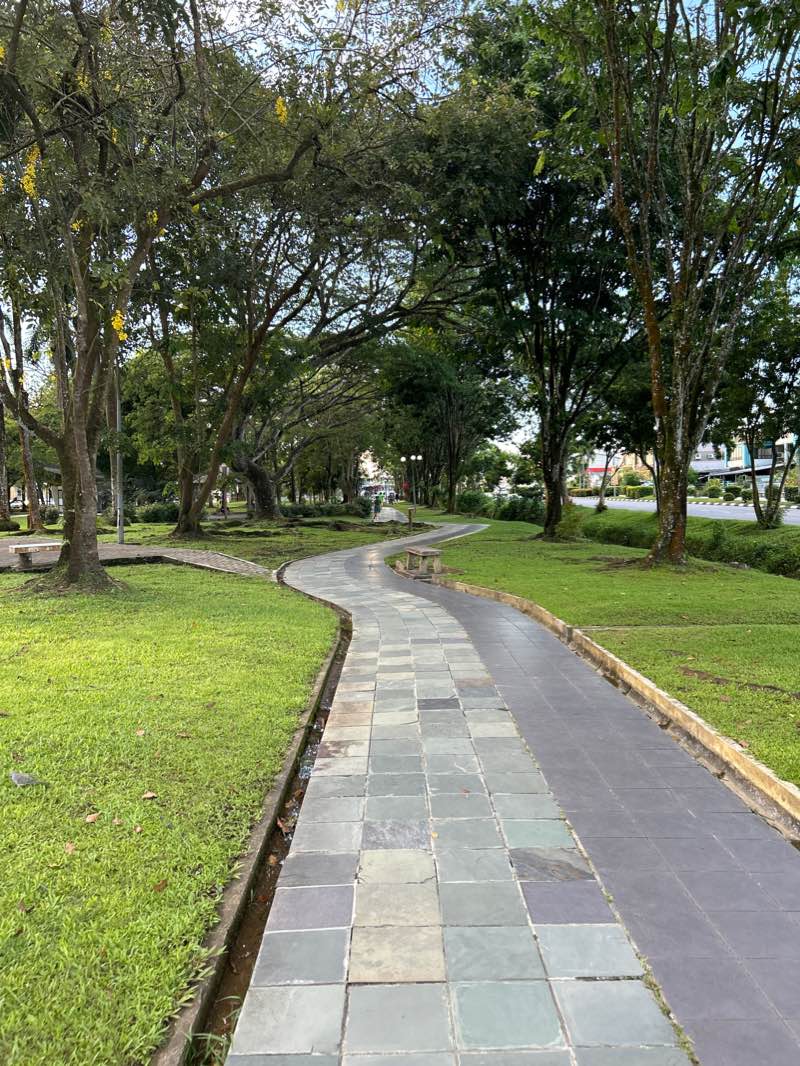 walking near me in Hui Sing Recreational Park in winter