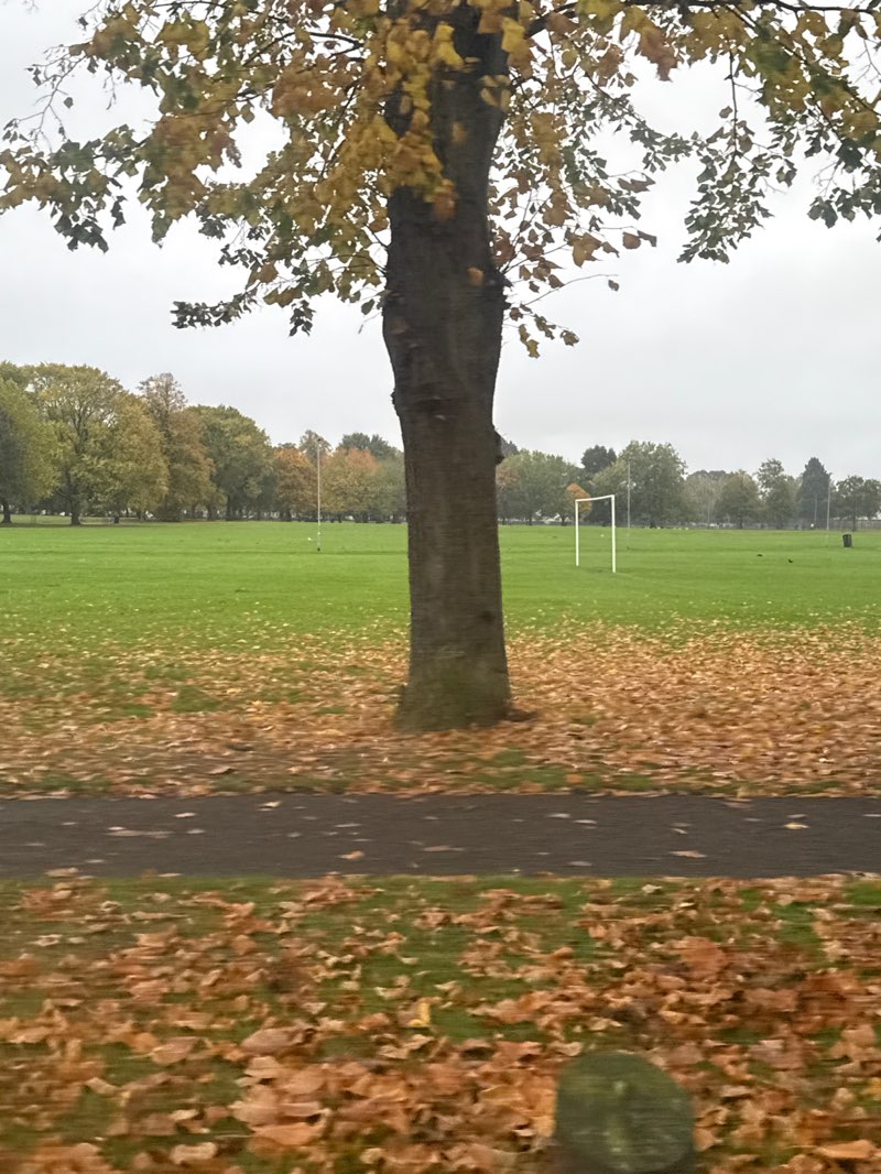 walking near me in The Racecourse in autumn