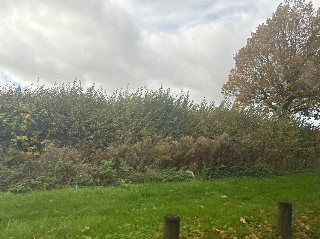walking near me in Wicksteed Park in autumn