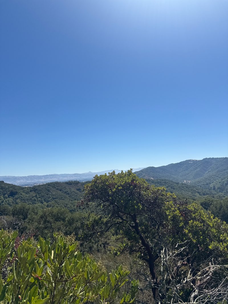 walking near me in Mount Madonna County Park in autumn