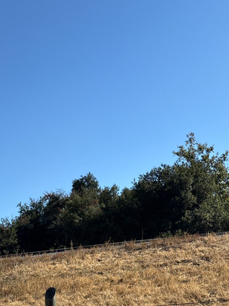 walking near me in El Roble Park in autumn