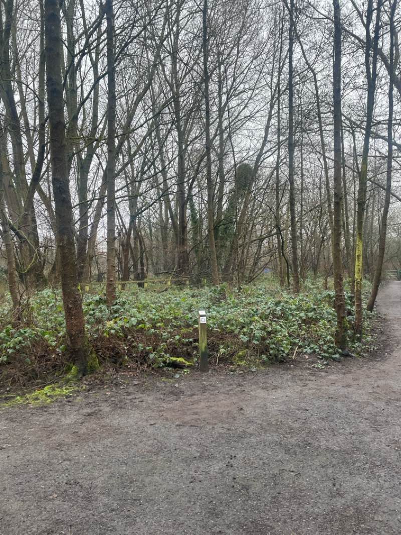 walking near me in Clayton Vale in winter