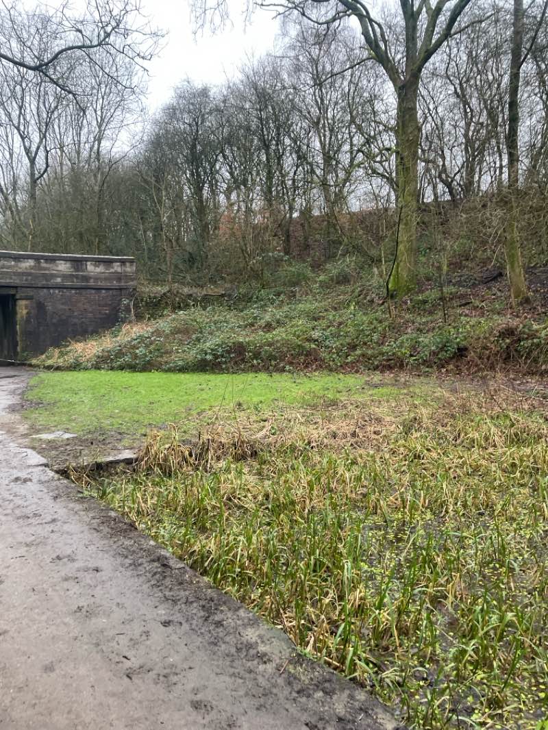 walking near me in Daisy Nook Country Park in winter