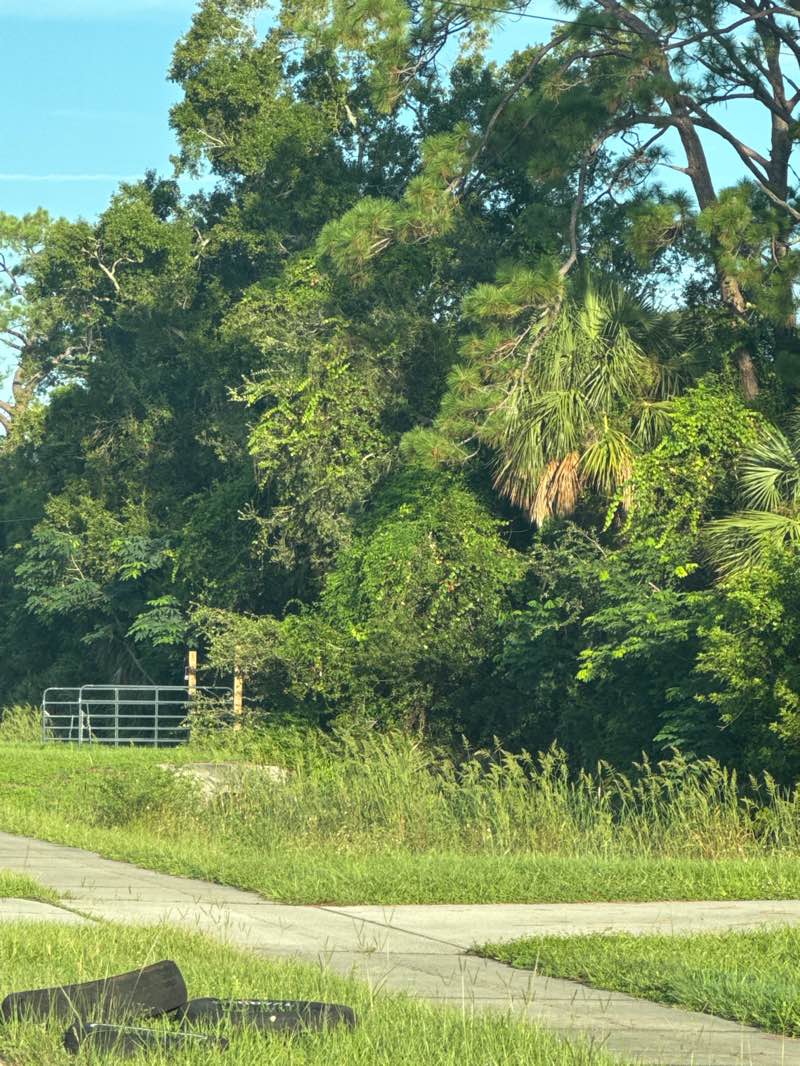 walking near me in Space Coast Field of Dreams in autumn