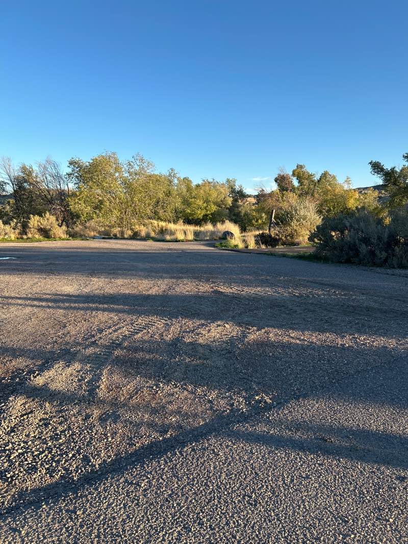 walking near me in Cadet Field in autumn
