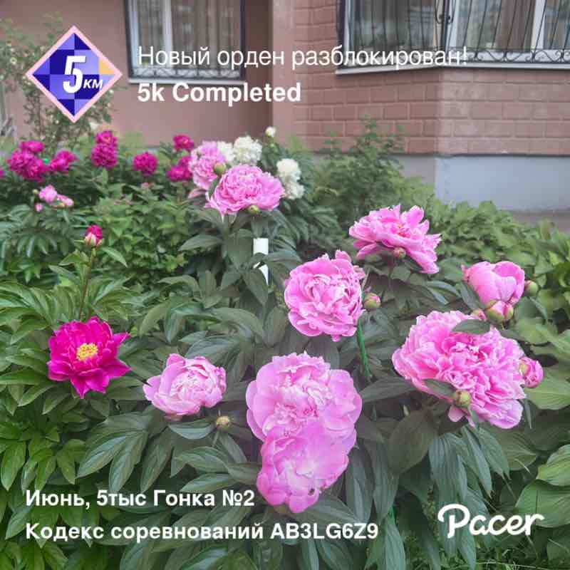 Виктория post 1