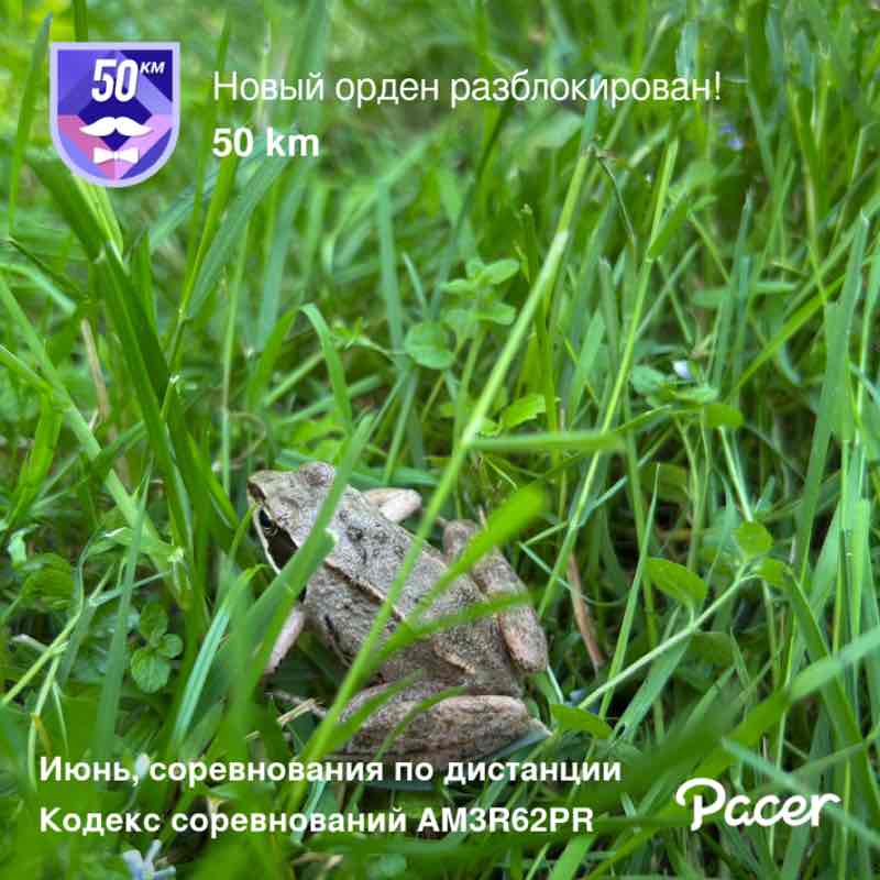 June Distance Challenge Виктория post image