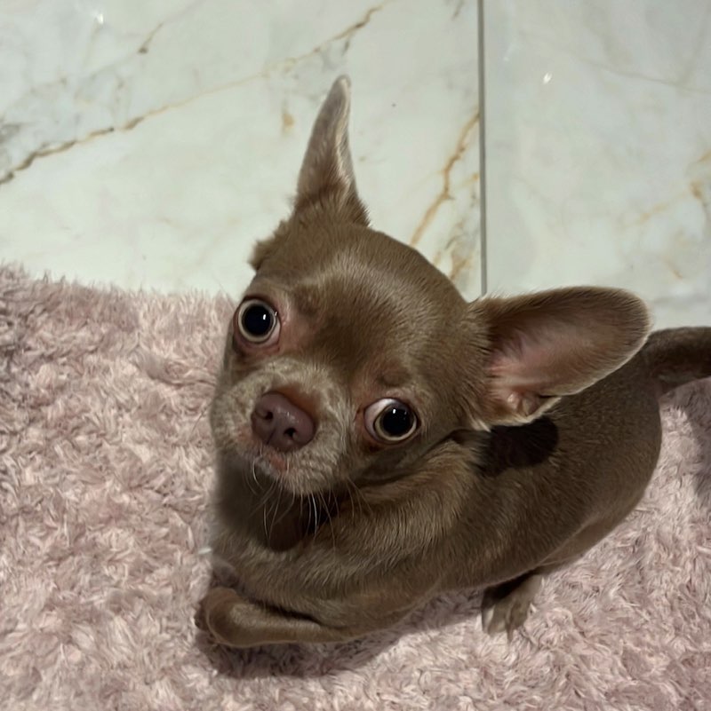 𝐌𝐚𝐫𝐭𝐲𝐧𝐚𝐚𝐚 💓 profile