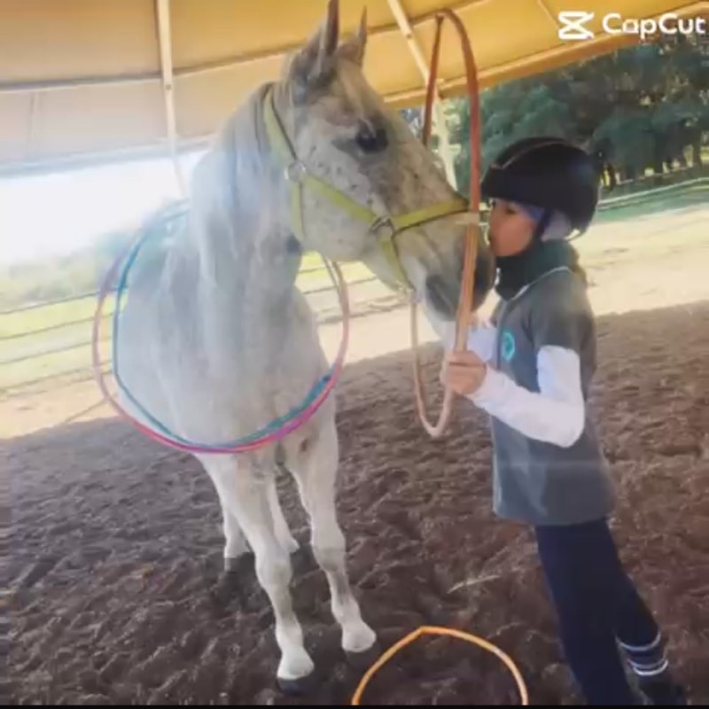 Małgosia M ❤️‍🔥🐴 🌿 icon