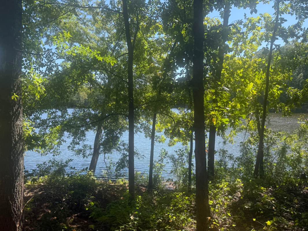 walking near me in Anne Springs Close Greenway in autumn