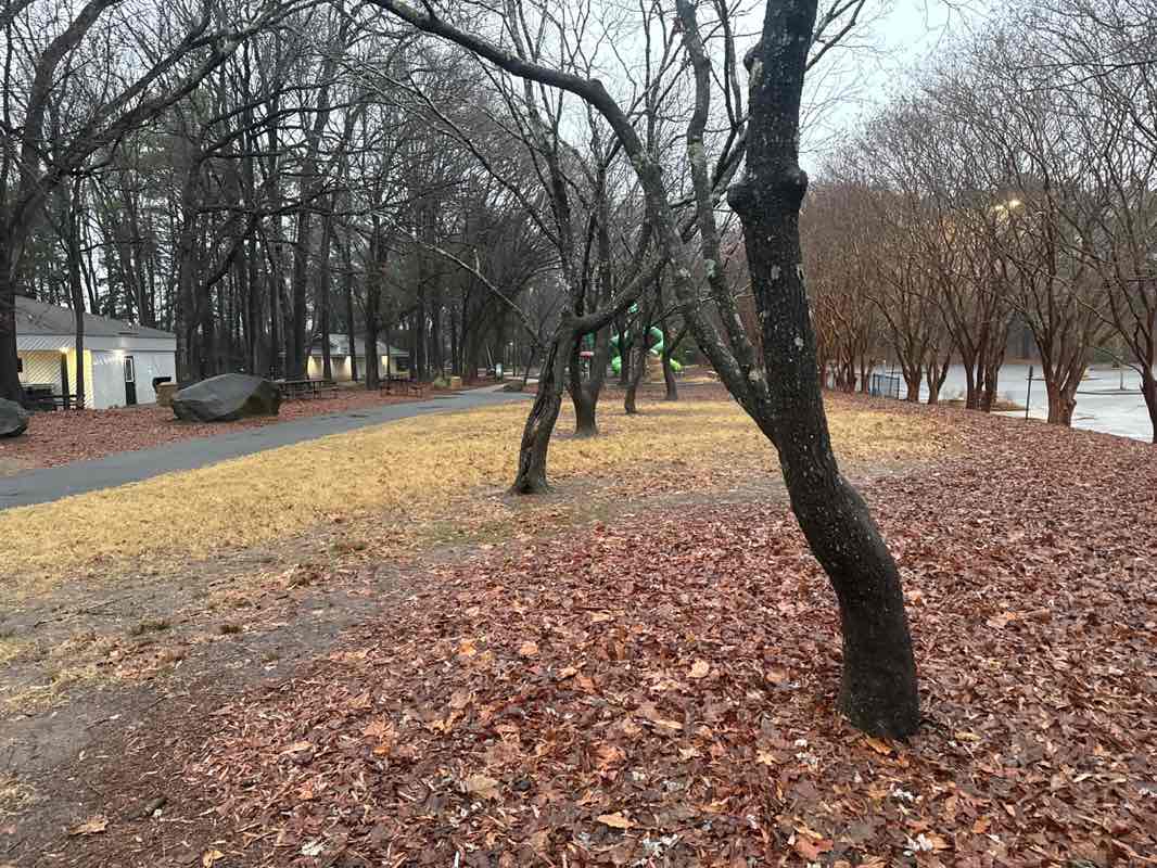walking near me in Cherry Park in winter