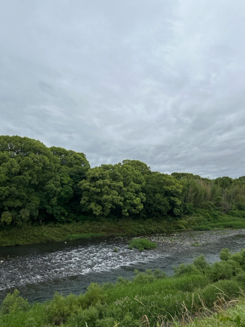 walking near me in 筑後広域公園 in summer