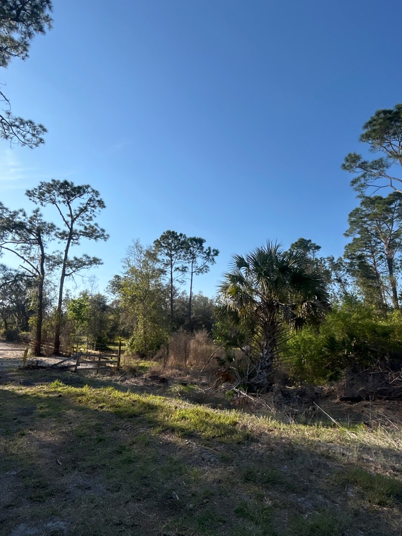 walking near me in Clark Bay Conservation Area in spring