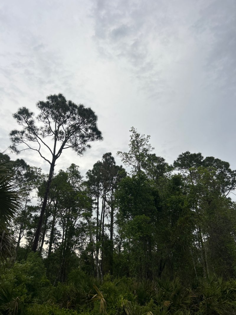 walking near me in Clark Bay Conservation Area in spring