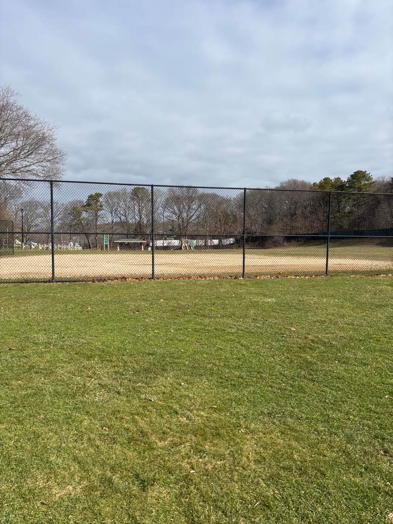 walking near me in Greentree Park in spring
