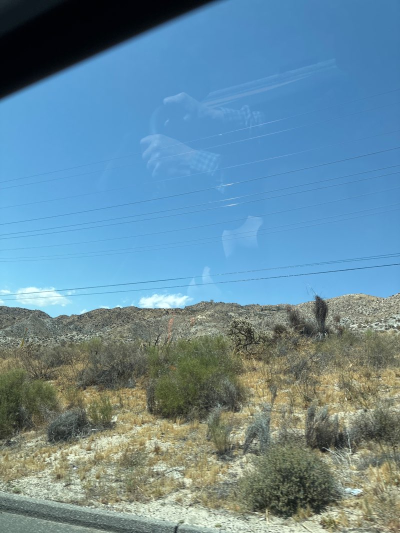 walking near me in Mojave Desert Land Trust in spring