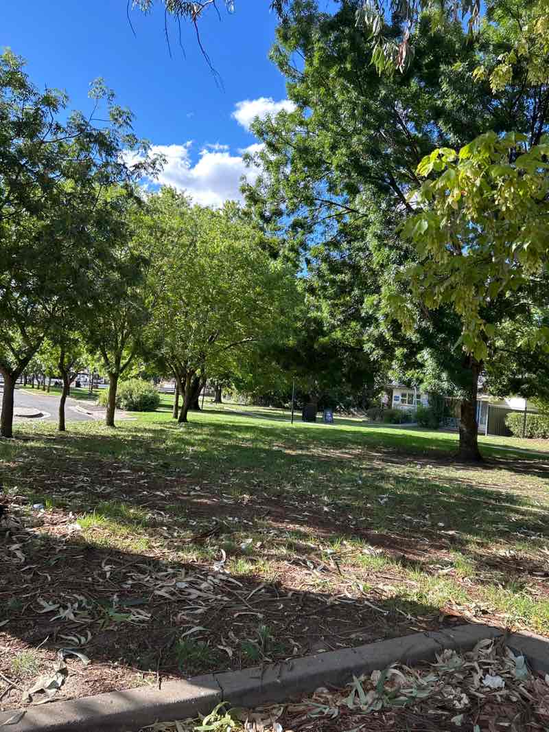 walking near me in Banjo Patterson Park in summer