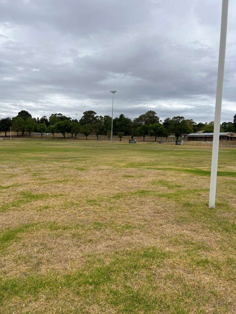 walking near me in Joe O'Connor Park in summer