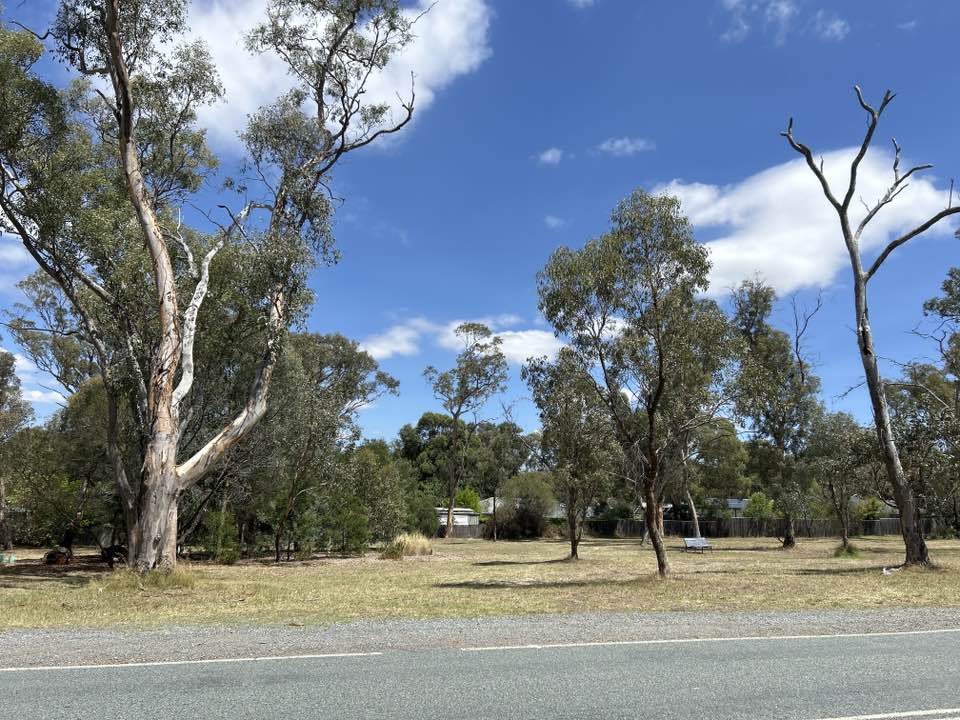 walking near me in Hall Village Reserve in summer