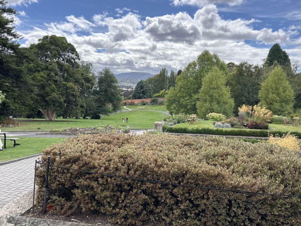 walking near me in Royal Tasmanian Botanical Gardens in autumn