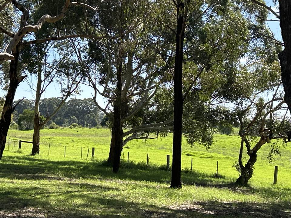 walking near me in Nyerimilang Park Gippsland Lakes Reserve in autumn