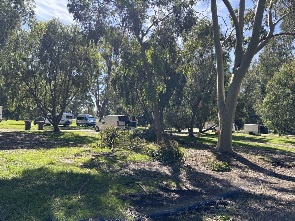 walking near me in Cann River Bushland Reserve in autumn