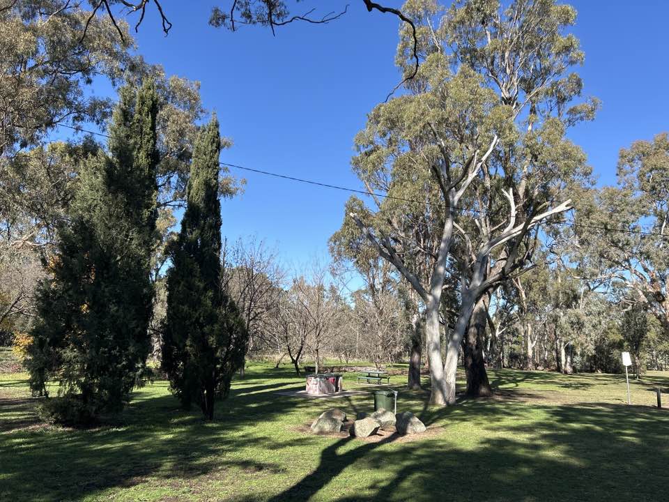 walking near me in Hall Park in winter