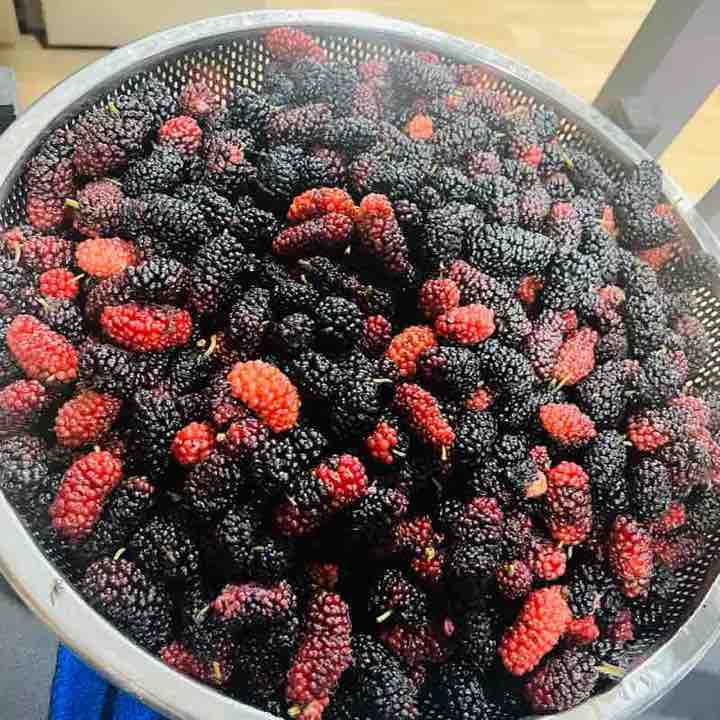 Đi Bộ Đà Nẵng Hortensia post image