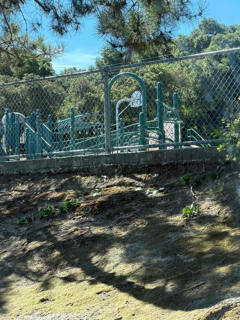 walking near me in Meadow Park in summer