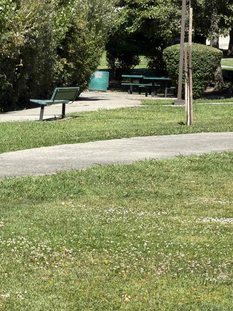 walking near me in Louie Francis Park in summer