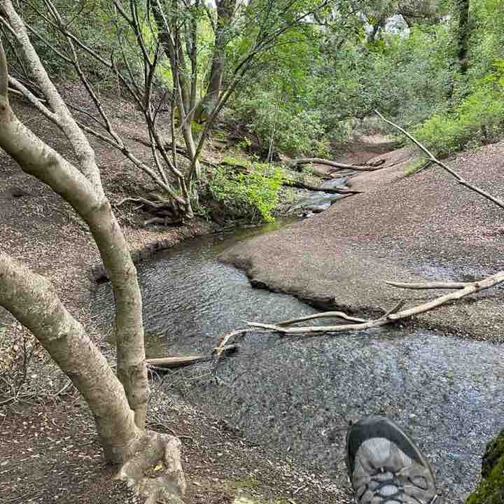 sameer.rakheja post 1