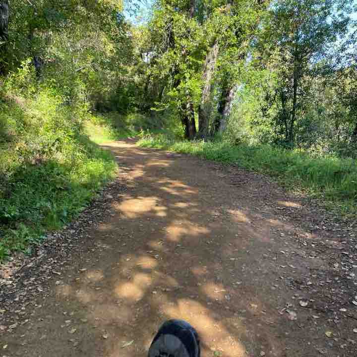 sameer.rakheja post 3