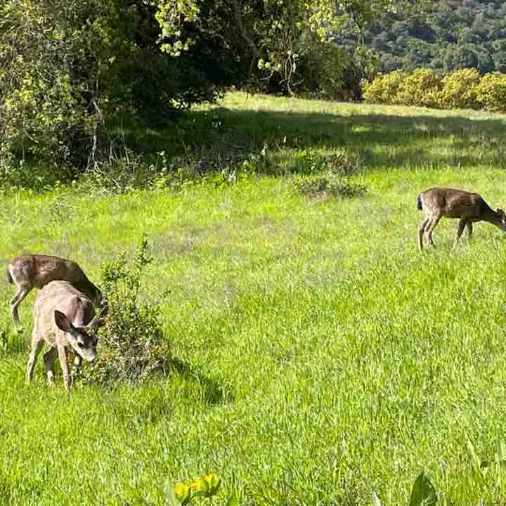 sameer.rakheja post 2