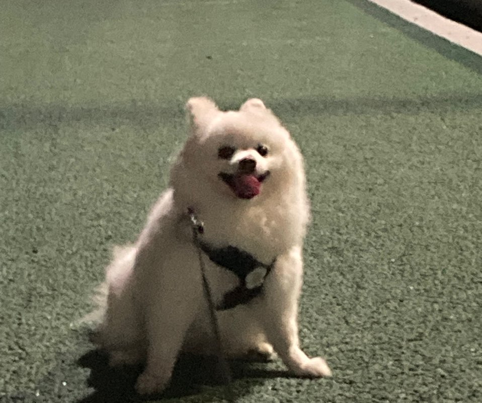 경시생👮🏻