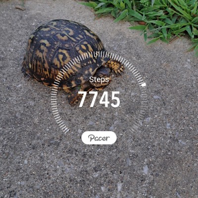 SweetChickens82 post 1