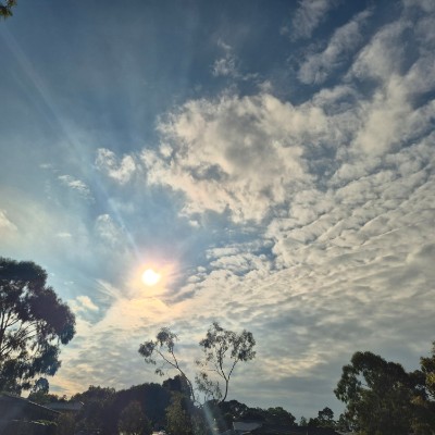 🌷BabyBunny🧉🐰🌷 post 2