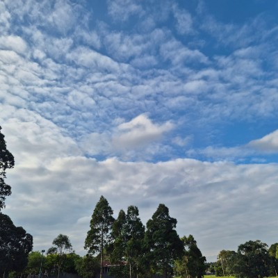 🌷BabyBunny🧉🐰🌷 post 2