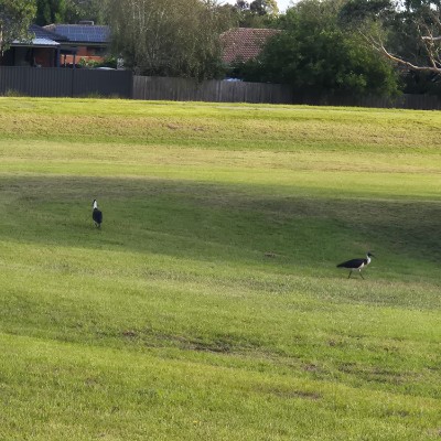 🌷BabyBunny🧉🐰🌷 post 3