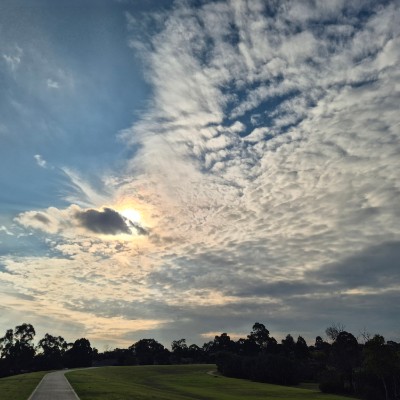 🌷BabyBunny🧉🐰🌷 post 2