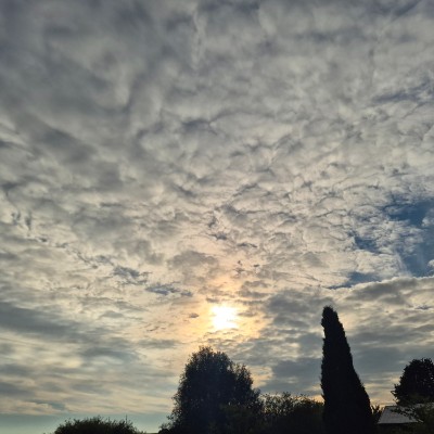 🌷BabyBunny🧉🐰🌷 post 2