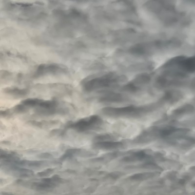 🌷BabyBunny🧉🐰🌷 post 2