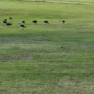 🌷BabyBunny🧉🐰🌷 post 3