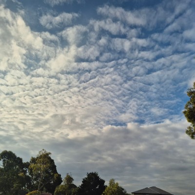 🌷BabyBunny🧉🐰🌷 post 3