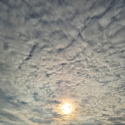 🌷BabyBunny🧉🐰🌷 post 1